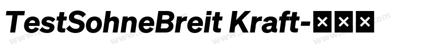 TestSohneBreit Kraft字体转换